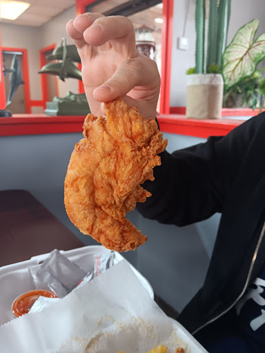 Gator Fish N' Chicken